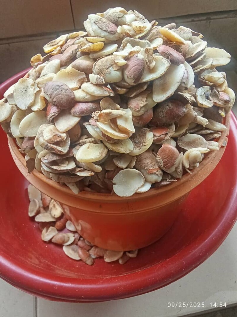 img-20260530-wa0002-2