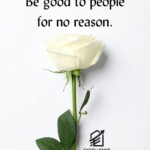 img-20260816-wa0022-2