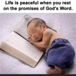 fb_img_1753052615820