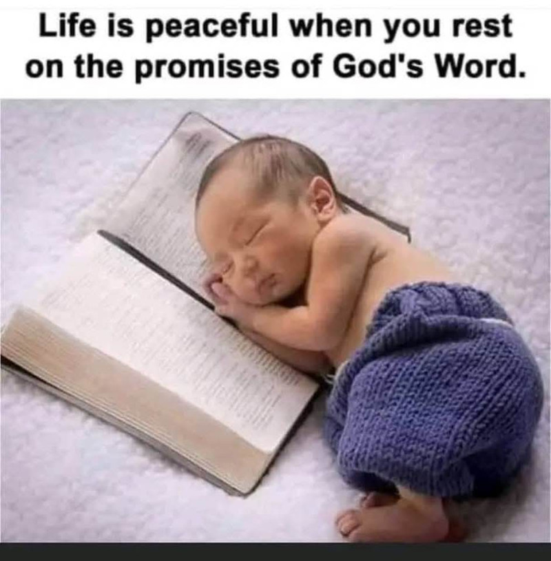 fb_img_1753052615820